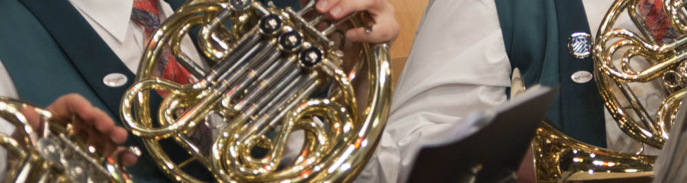 Verein - Ortsmusik Rüediswil