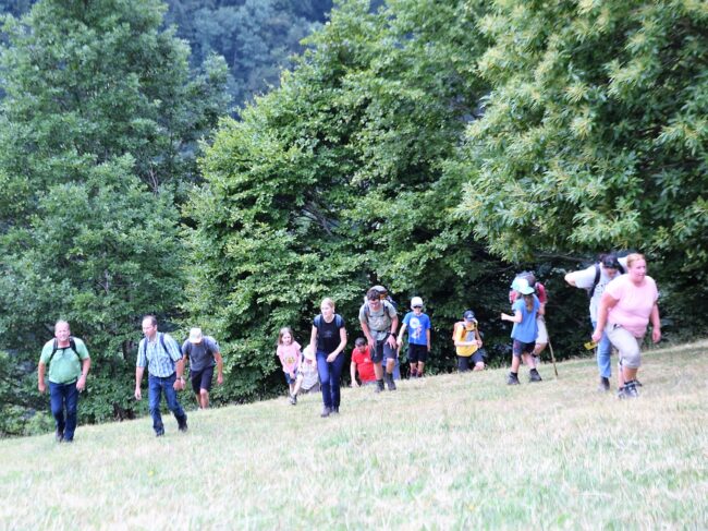 Ortsmusik Rüediswil wandert zur Brändi-Alp