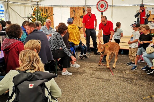 Bruno Stirnimann präsentierte den Hauptpreis des Kuhfladenbingos das Stierenkalb Bingo im Festzelt an der Chilbi Rüediswil 2024