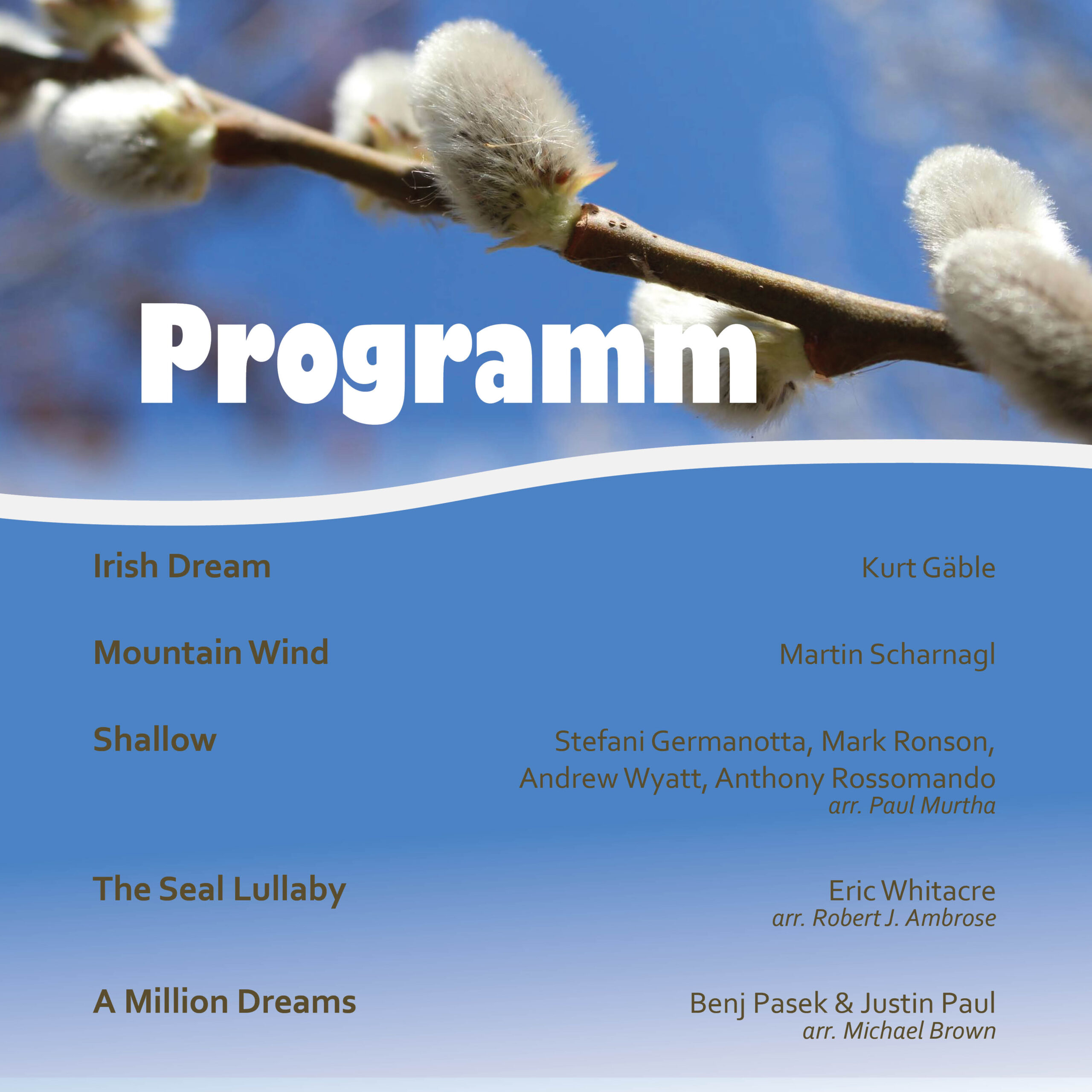 Programm zur Gottesdienstgestaltung zum Palmsonntag 2025 der Ortsmusik Rüediswil